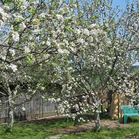 Appartement Privat Lubka *