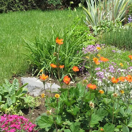 Lejlighed Privat Lubka *