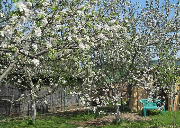 Διαμέρισμα Privat Lubka *